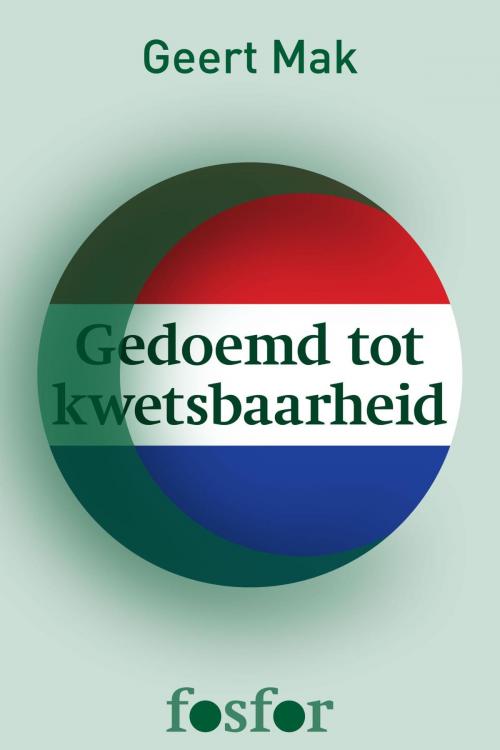 Cover of the book Gedoemd tot kwetsbaarheid by Geert Mak, Singel Uitgeverijen