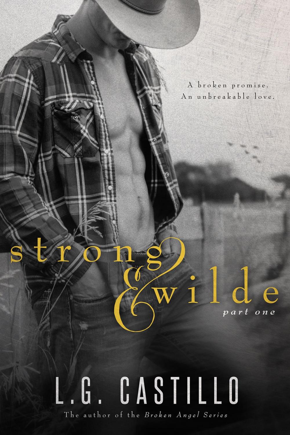 Big bigCover of Strong & Wilde 1 (Cowboy Romance Series)