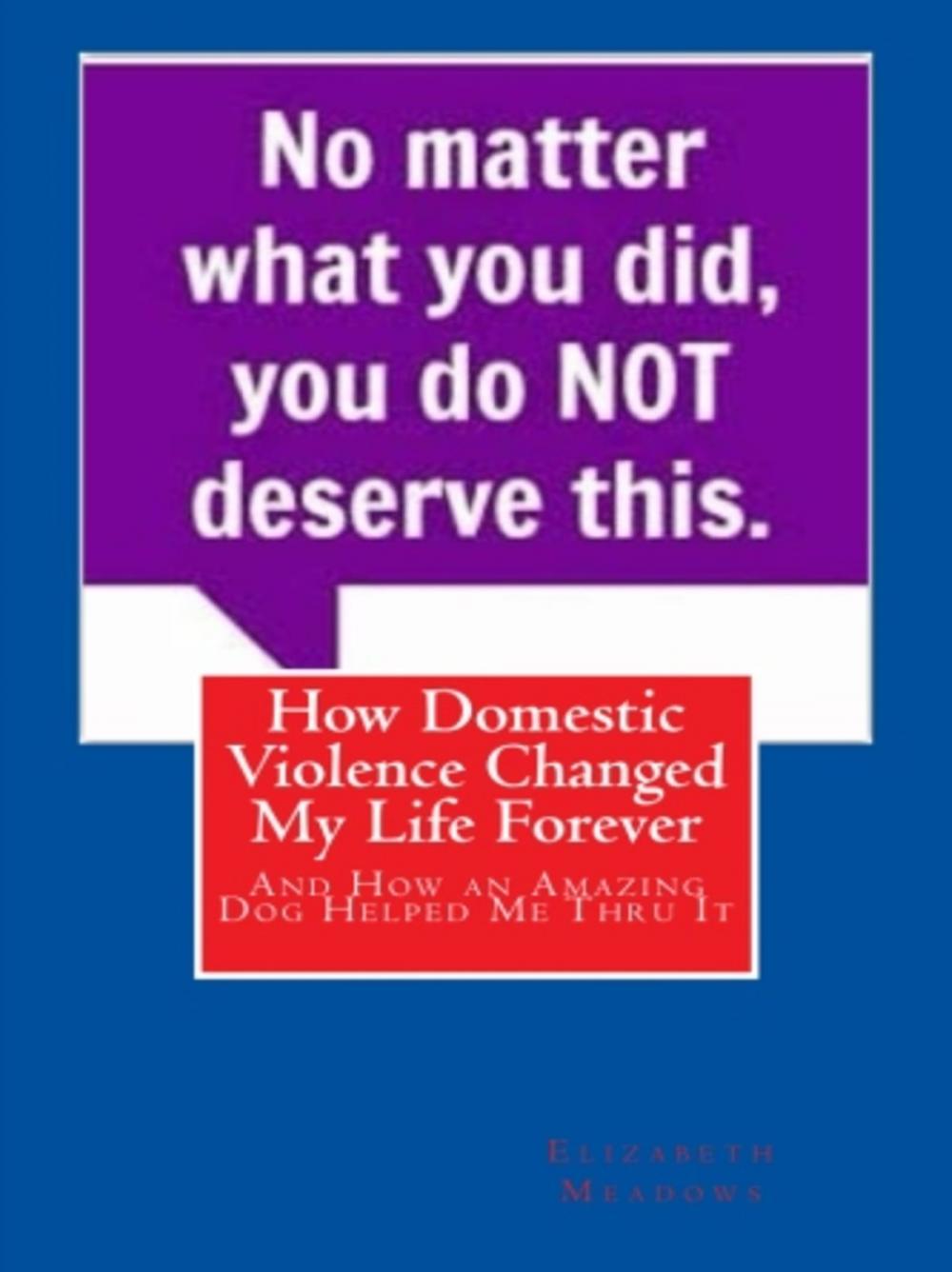 Big bigCover of How Domestic Violence Changed My Life Forever