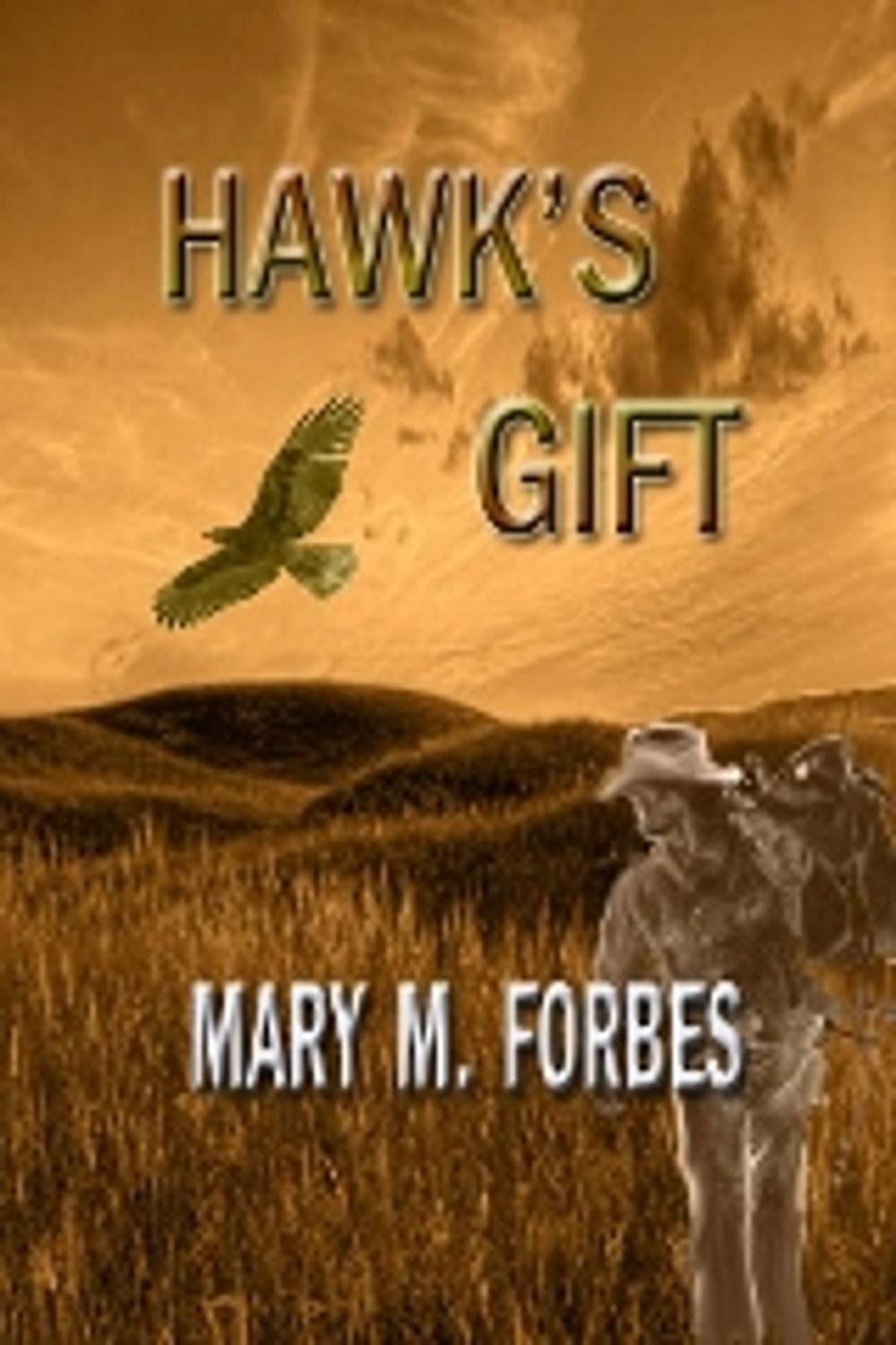 Big bigCover of Hawk's Gift