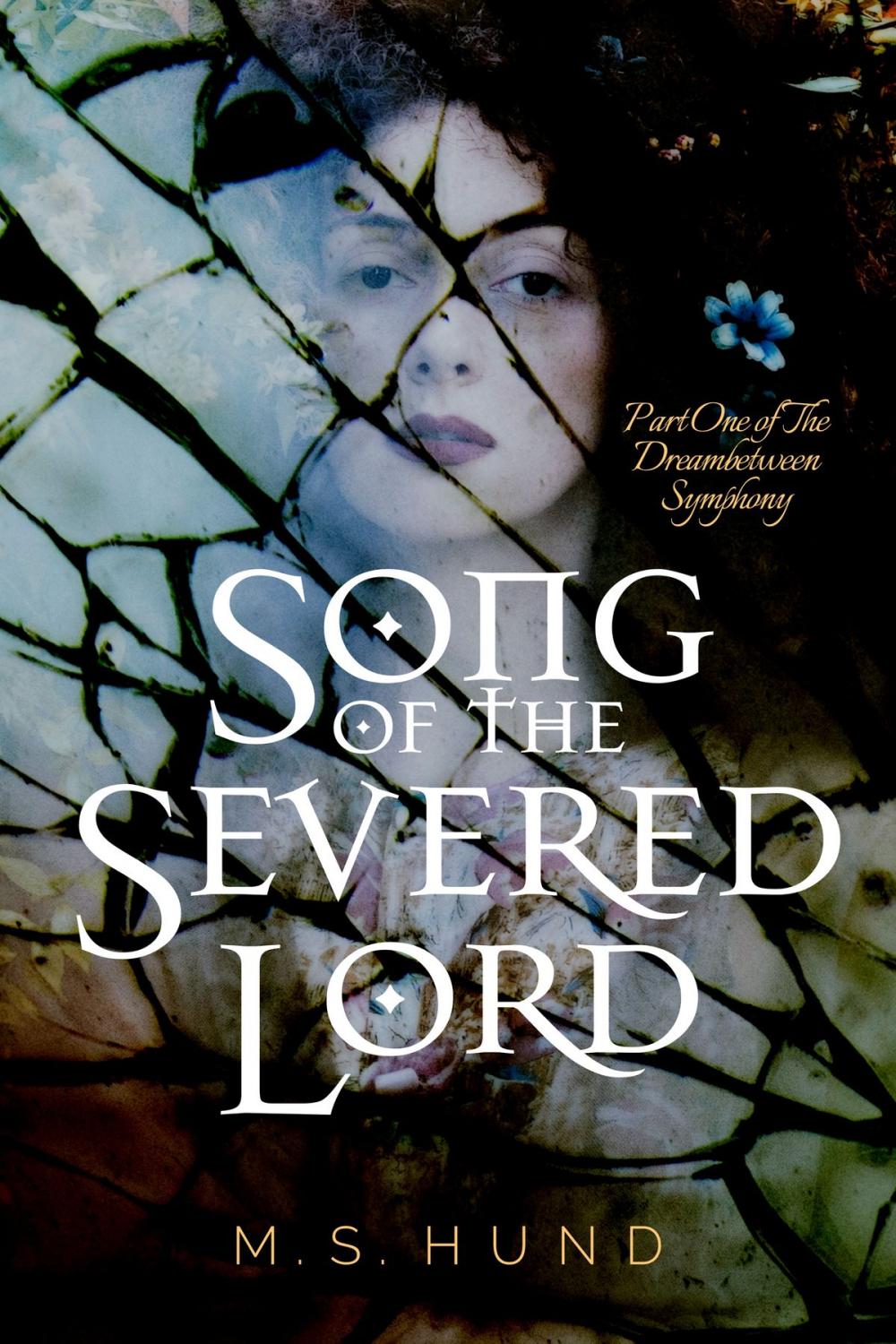Big bigCover of Song of the Severed Lord
