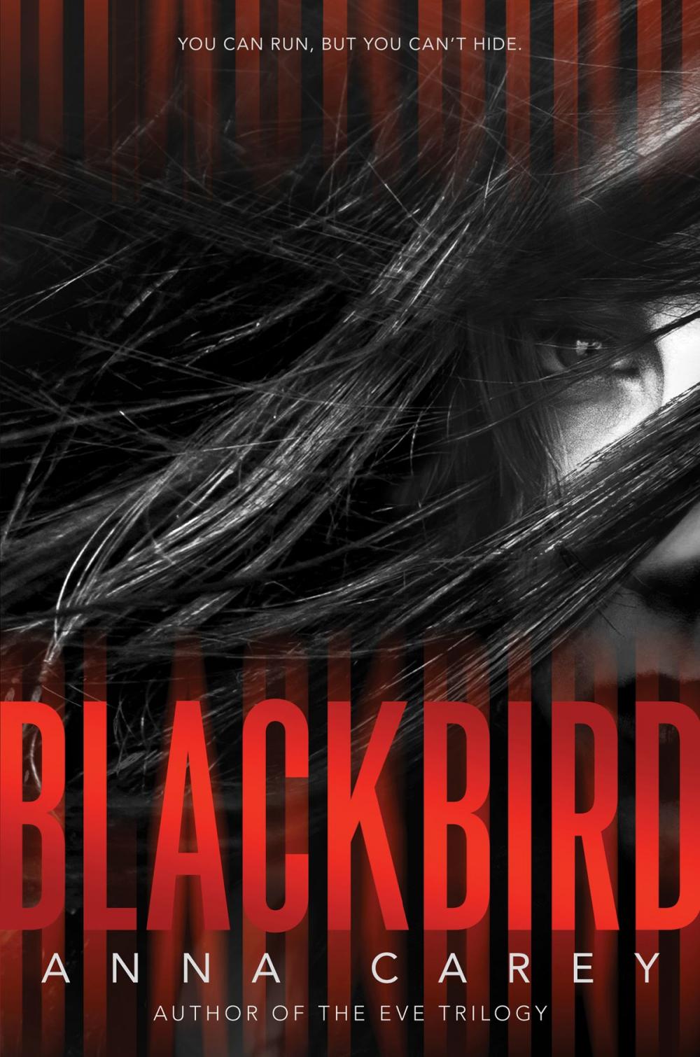 Big bigCover of Blackbird