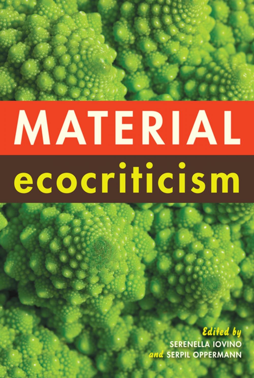 Big bigCover of Material Ecocriticism
