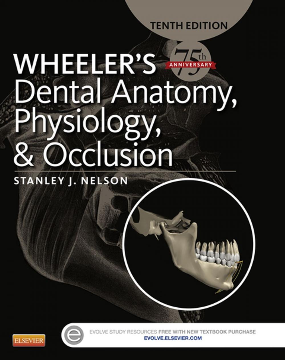 Big bigCover of Wheeler's Dental Anatomy, Physiology and Occlusion - E-Book