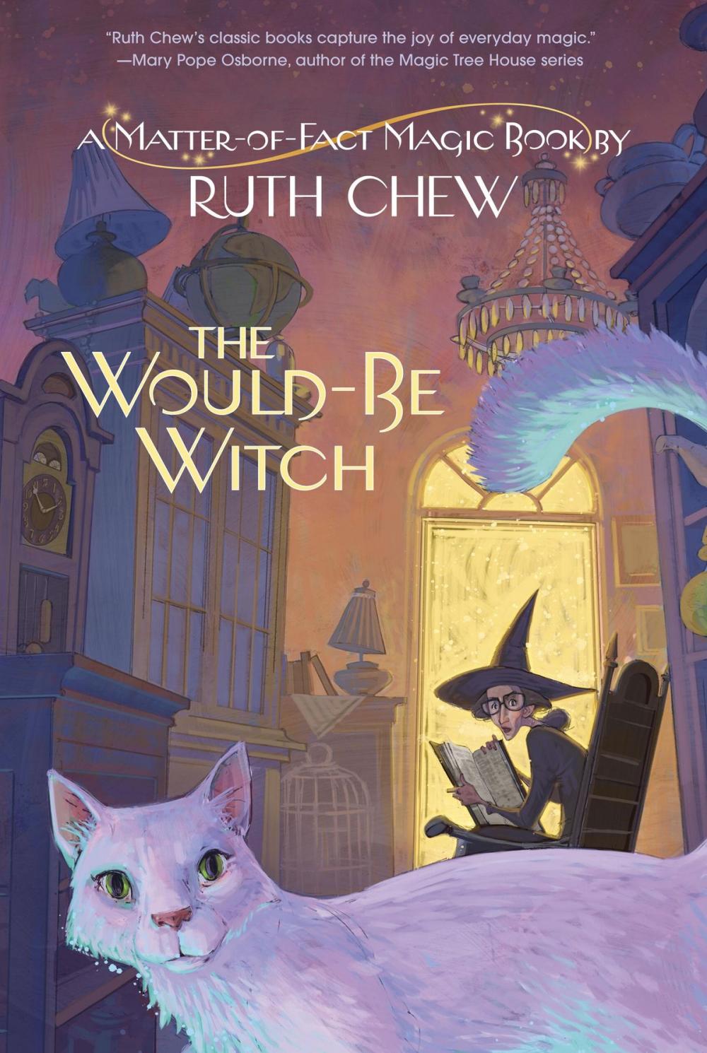 Big bigCover of A Matter-of-Fact Magic Book: The Would-Be Witch