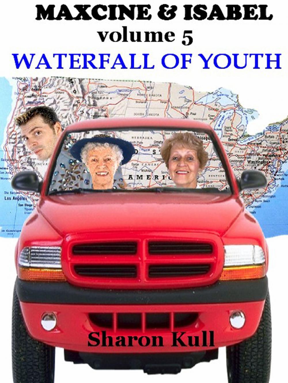 Big bigCover of Waterfall of Youth