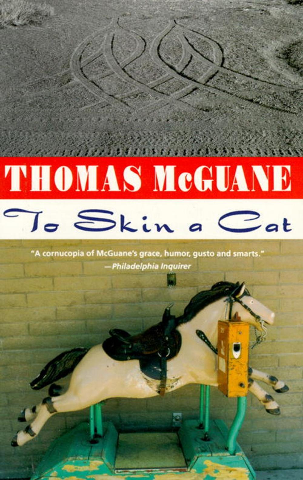 Big bigCover of To Skin a Cat