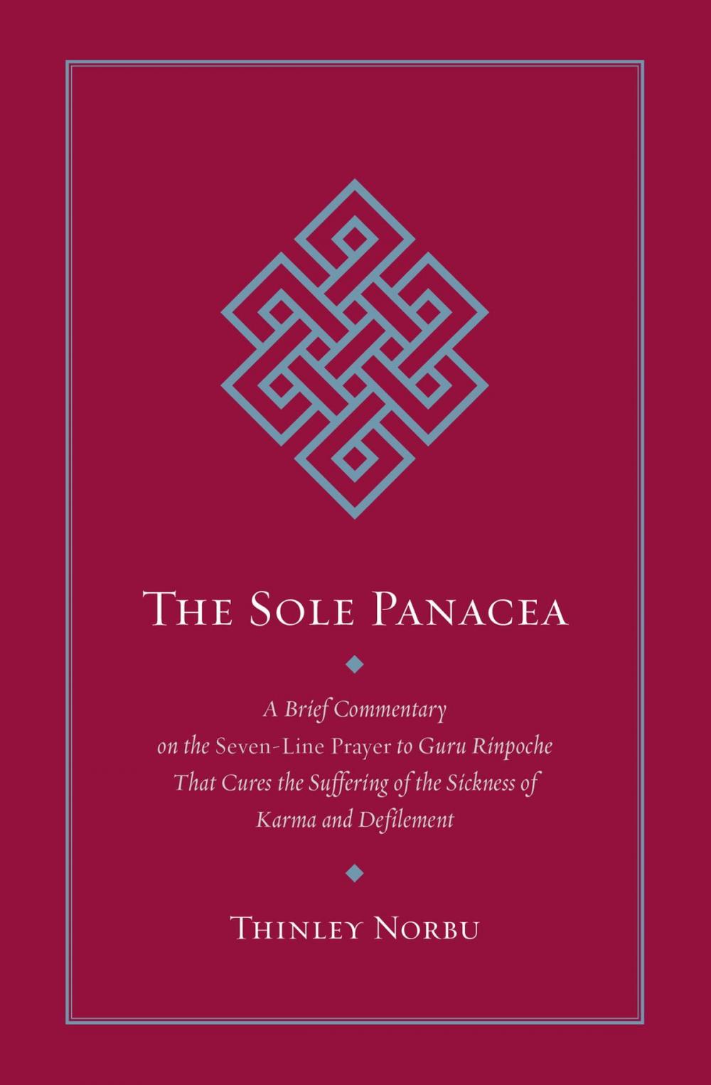 Big bigCover of The Sole Panacea