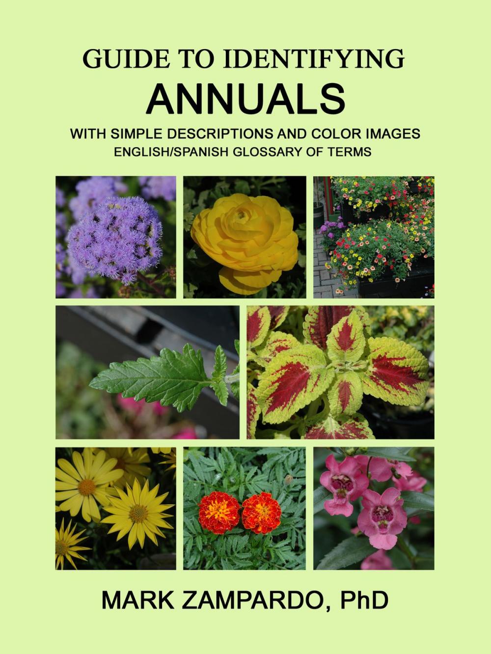 Big bigCover of Guide to Identifying Annuals