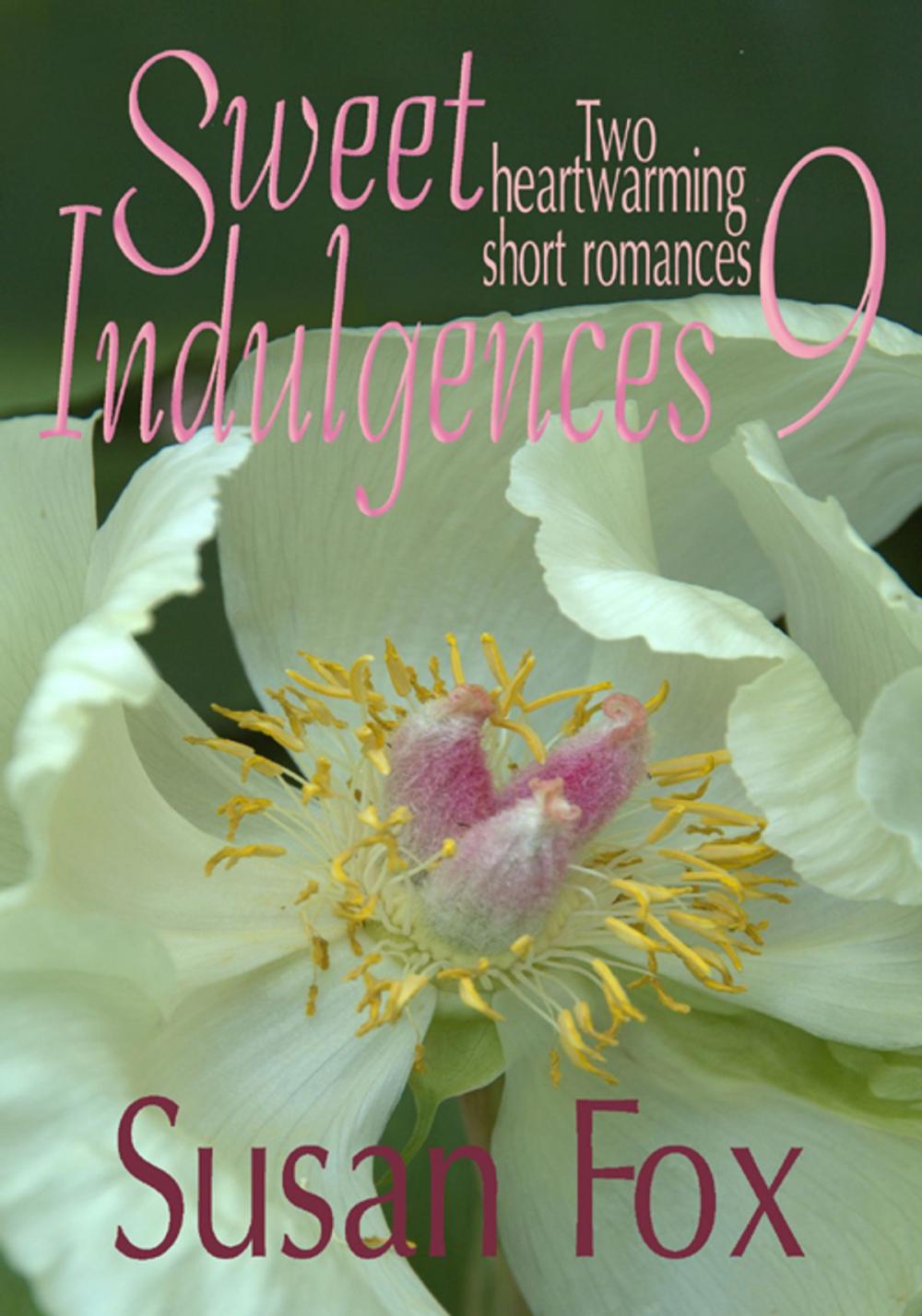 Big bigCover of Sweet Indulgences 9: Two heartwarming short romances