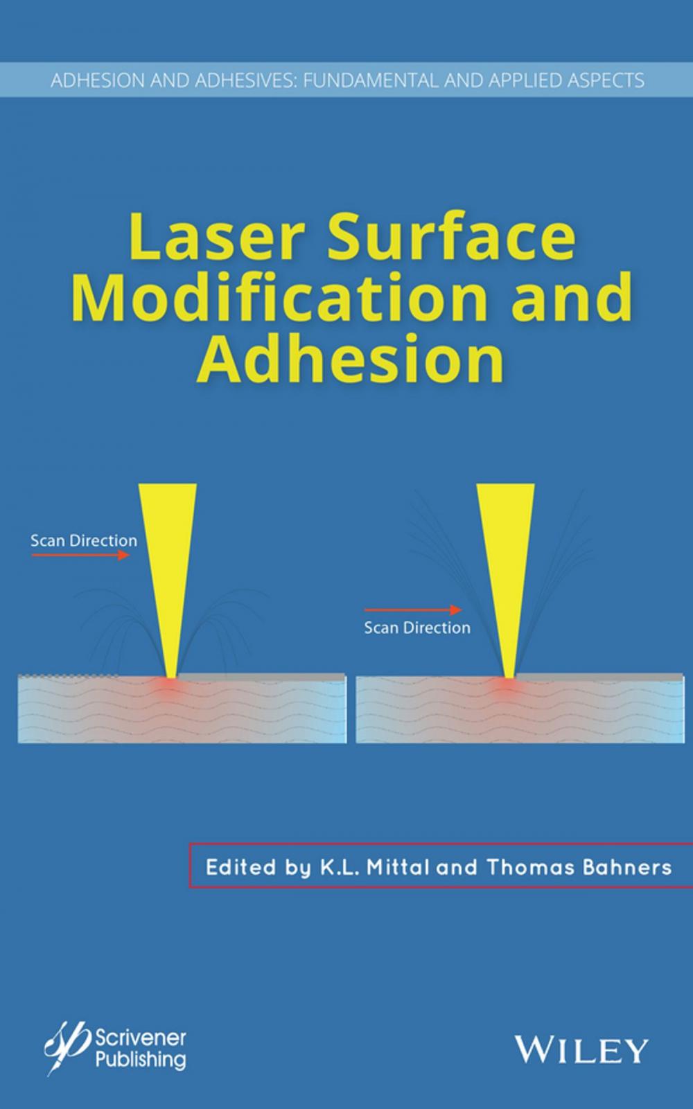 Big bigCover of Laser Surface Modification and Adhesion