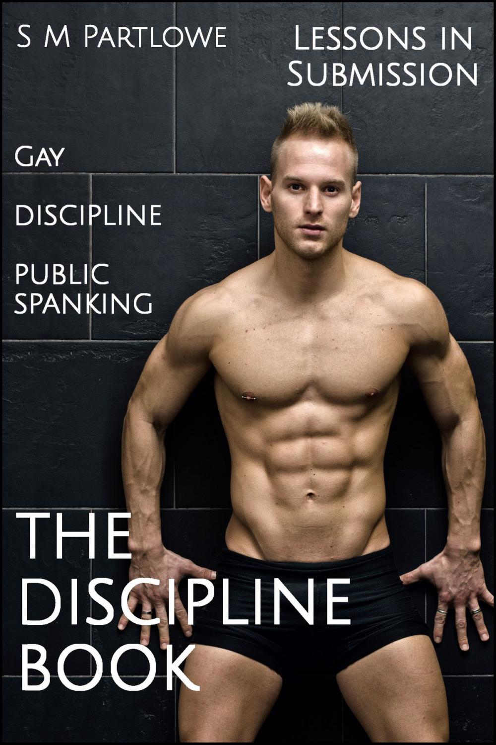 Big bigCover of Lessons in Submission: The Discipline Book (Gay, Discipline, Public Spanking)