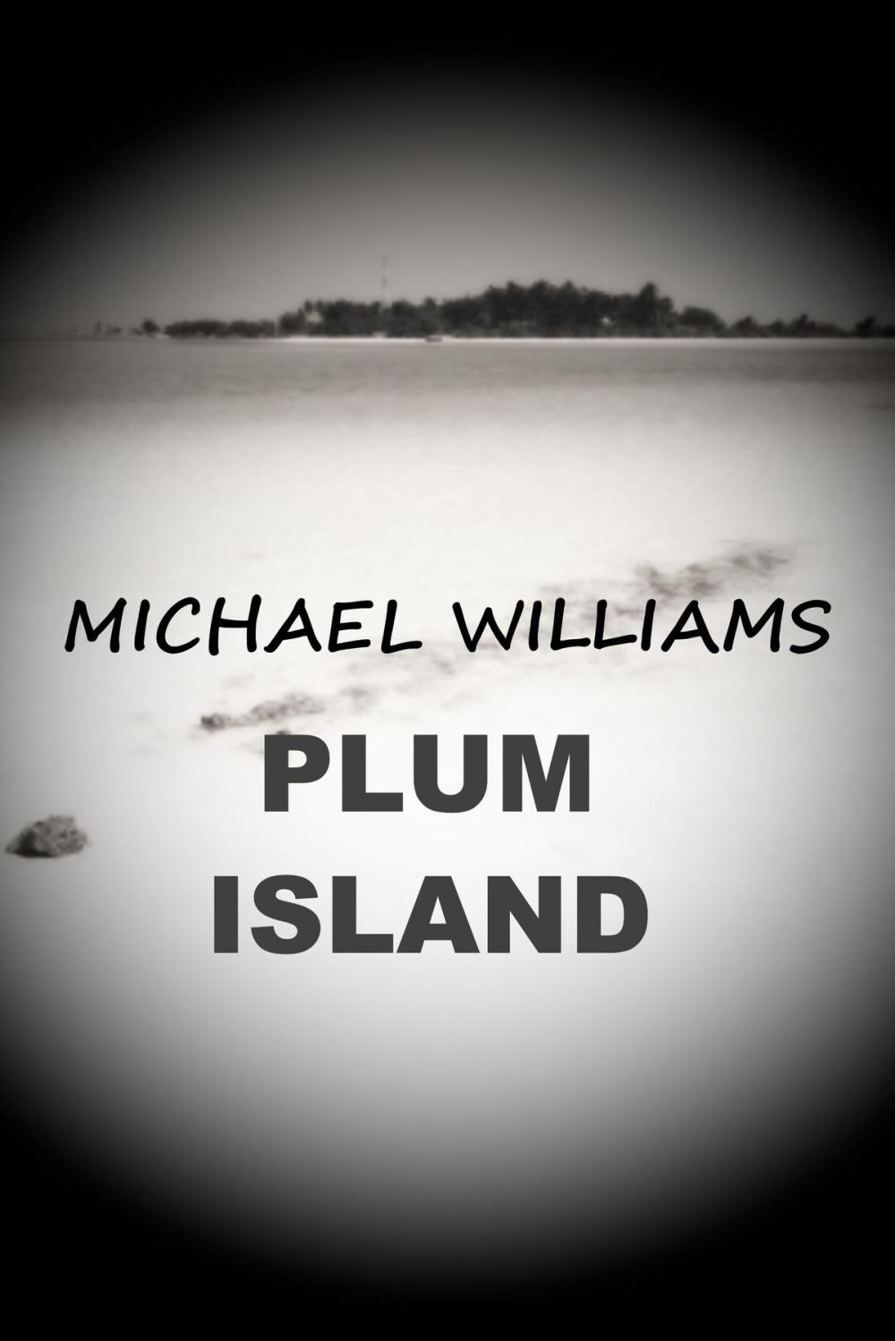 Big bigCover of Plum Island