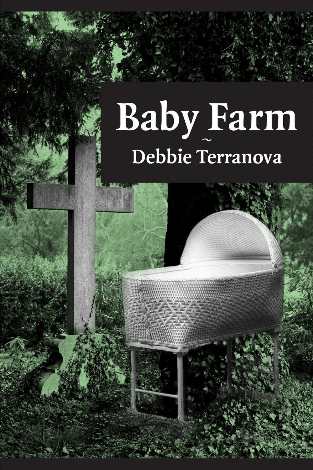 Big bigCover of Baby Farm