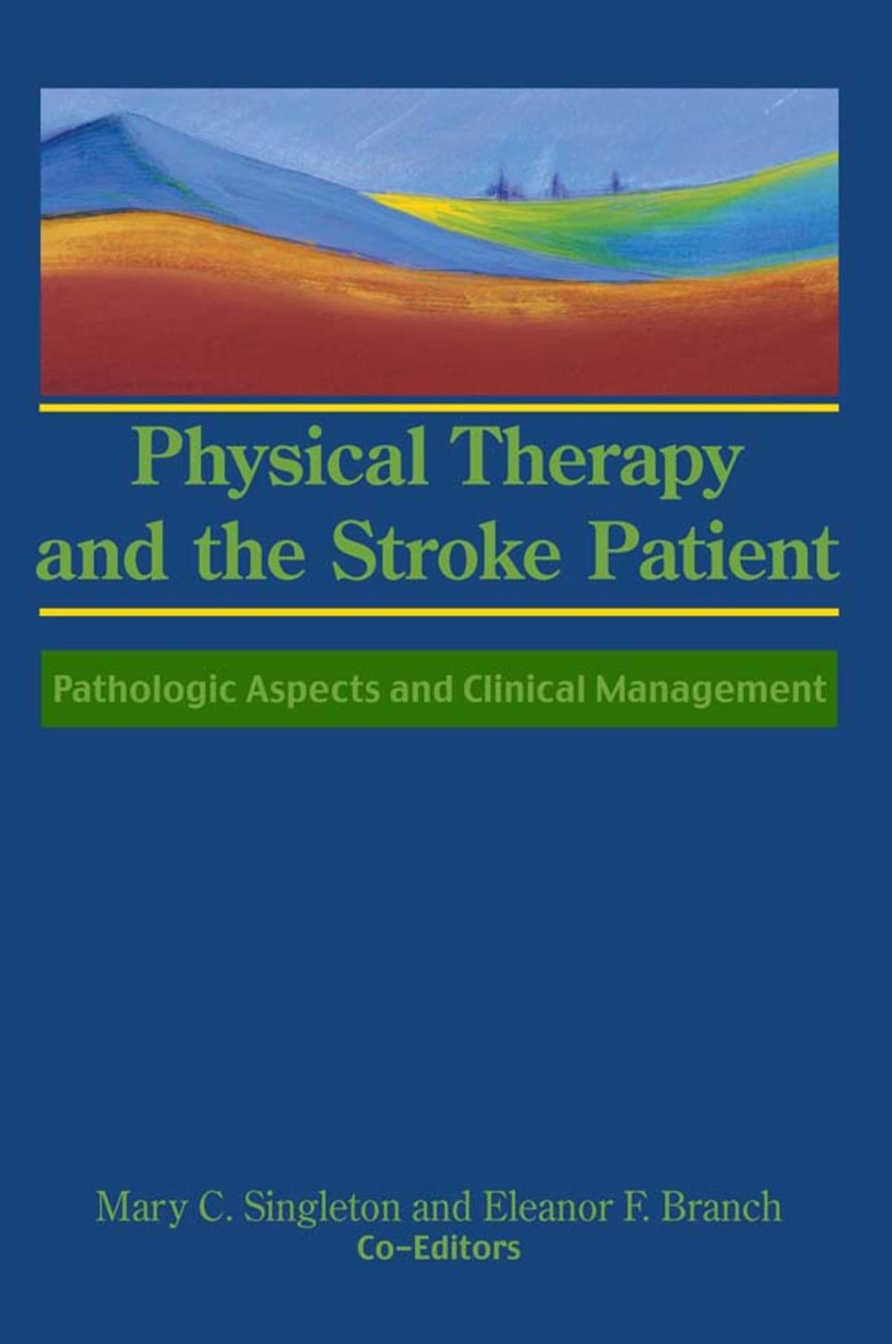 Big bigCover of Physical Therapy and the Stroke Patient