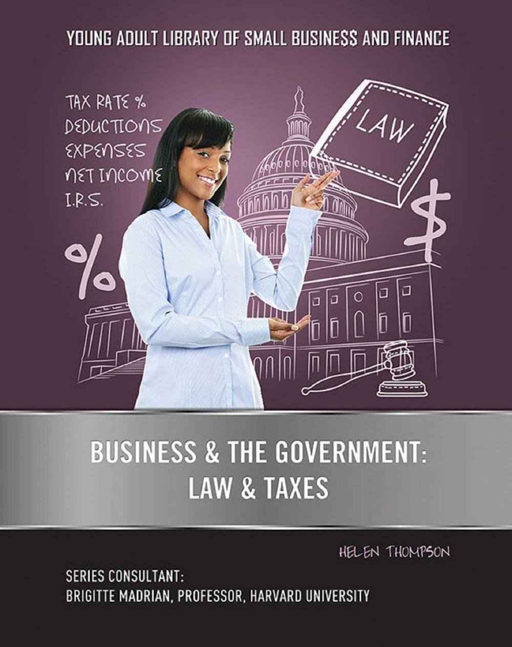 Big bigCover of Business & the Government