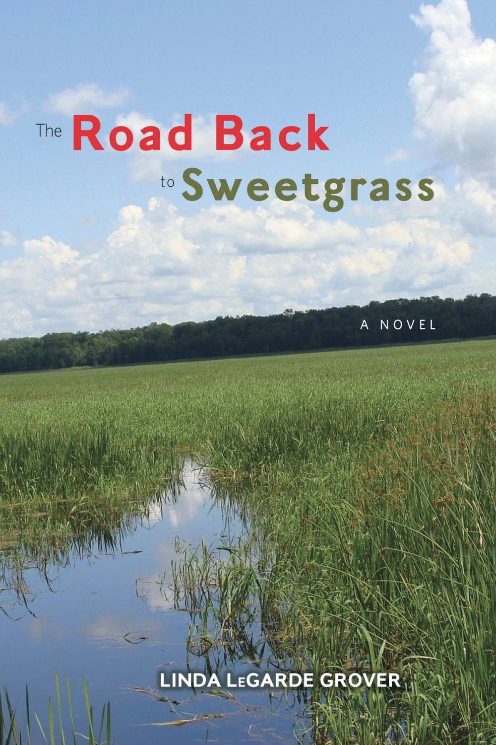 Big bigCover of The Road Back to Sweetgrass