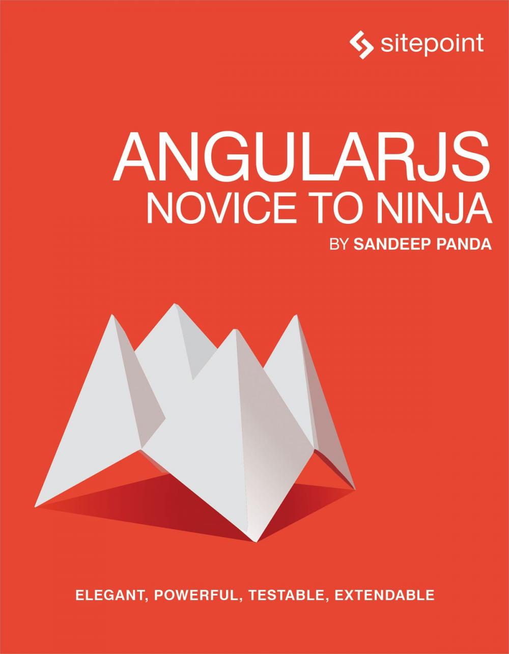 Big bigCover of AngularJS: Novice to Ninja