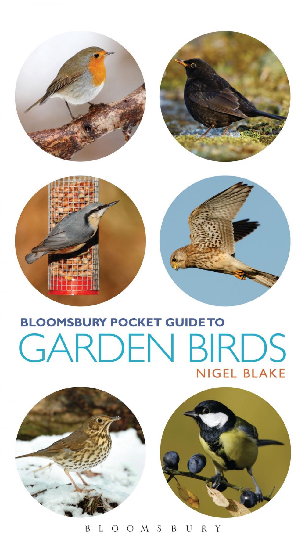 Big bigCover of Pocket Guide To Garden Birds