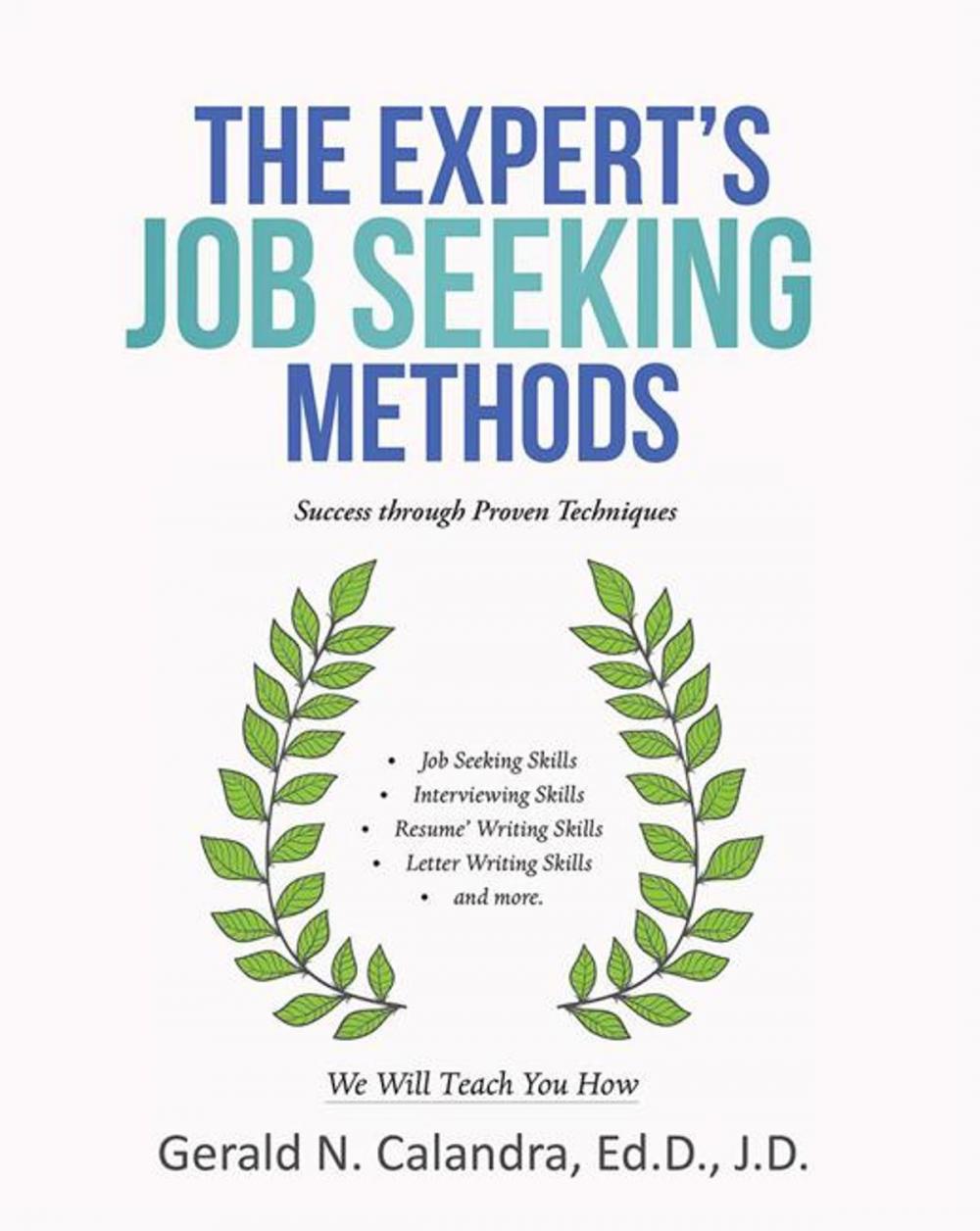 Big bigCover of The Expert’S Job Seeking Methods