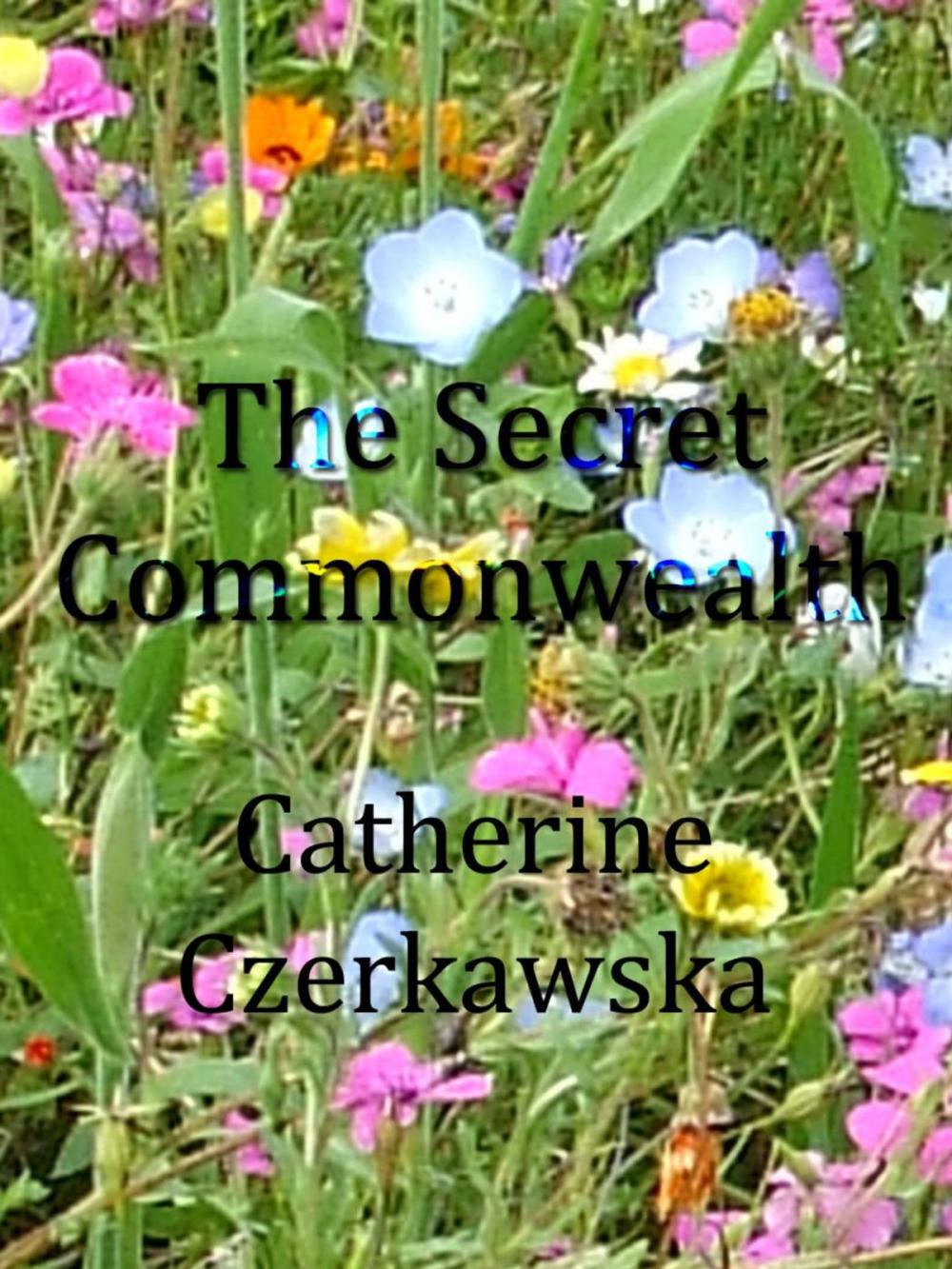 Big bigCover of The Secret Commonwealth