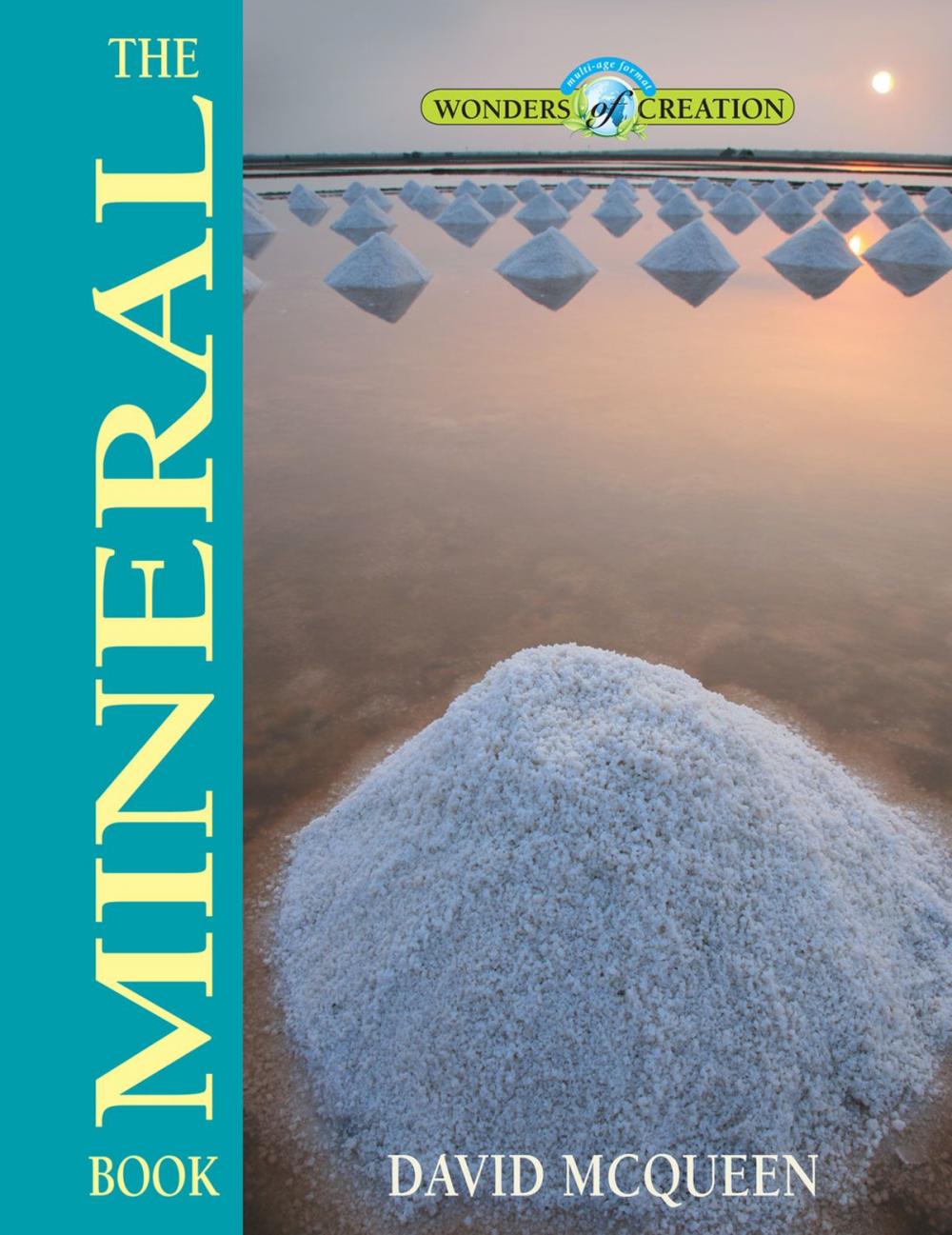 Big bigCover of The Mineral Book