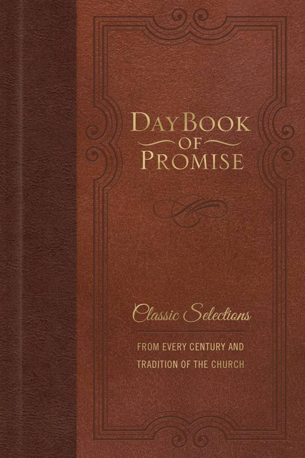 Big bigCover of Daybook of Promise