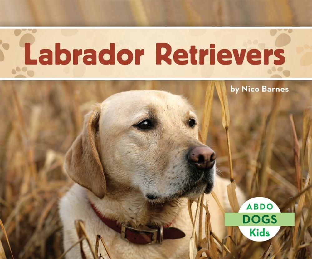 Big bigCover of Labrador Retrievers