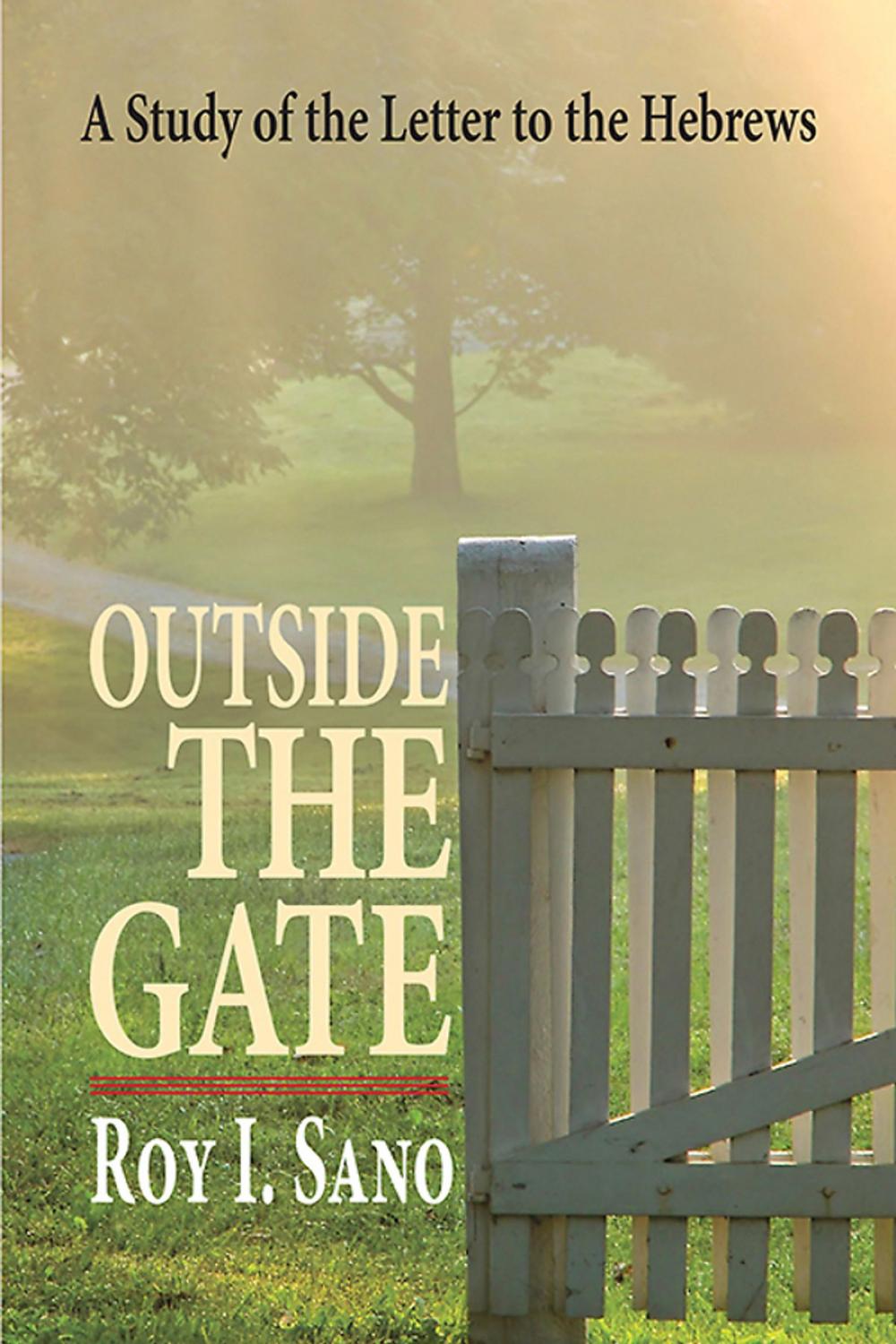 Big bigCover of Outside the Gate