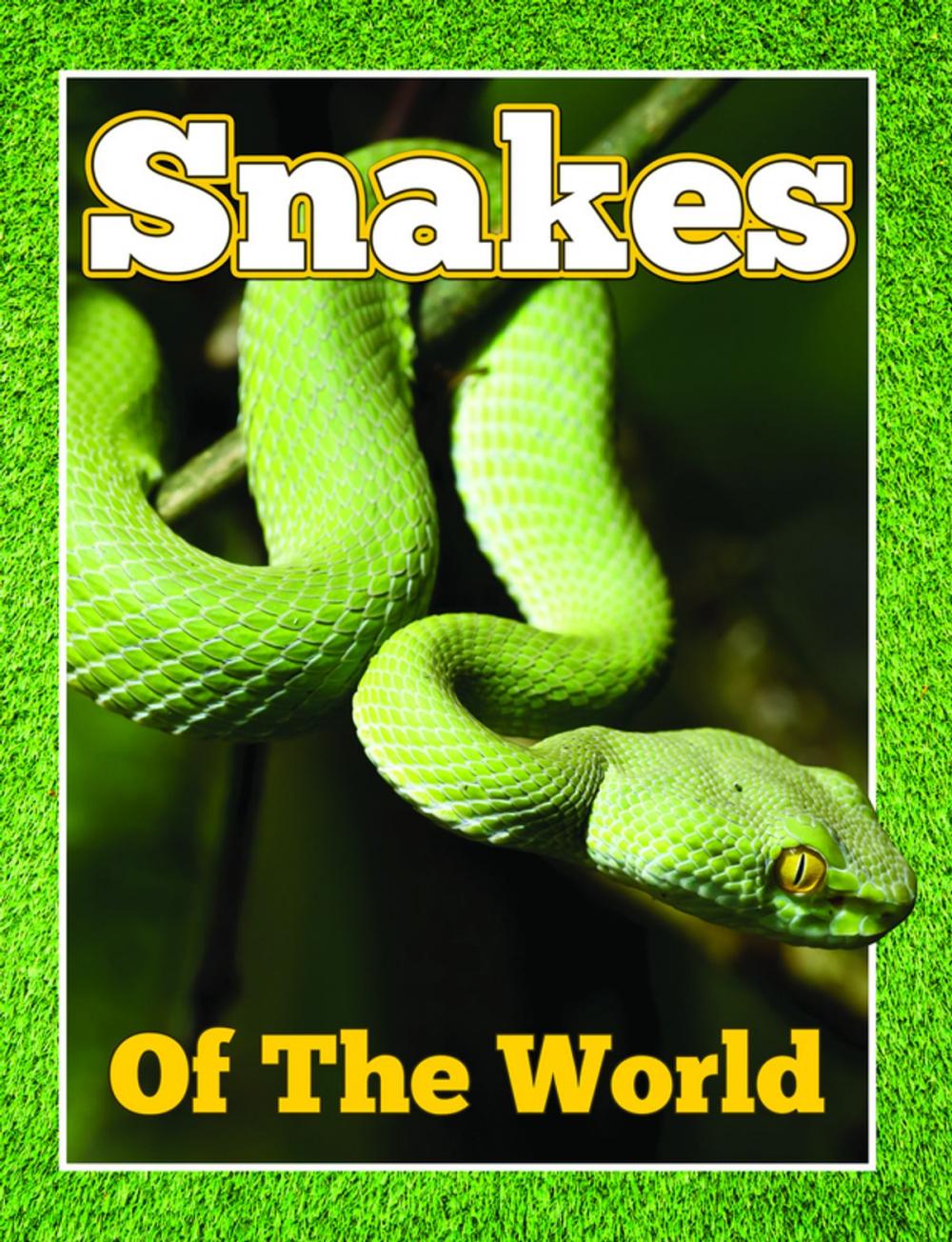 Big bigCover of Snakes Of The World