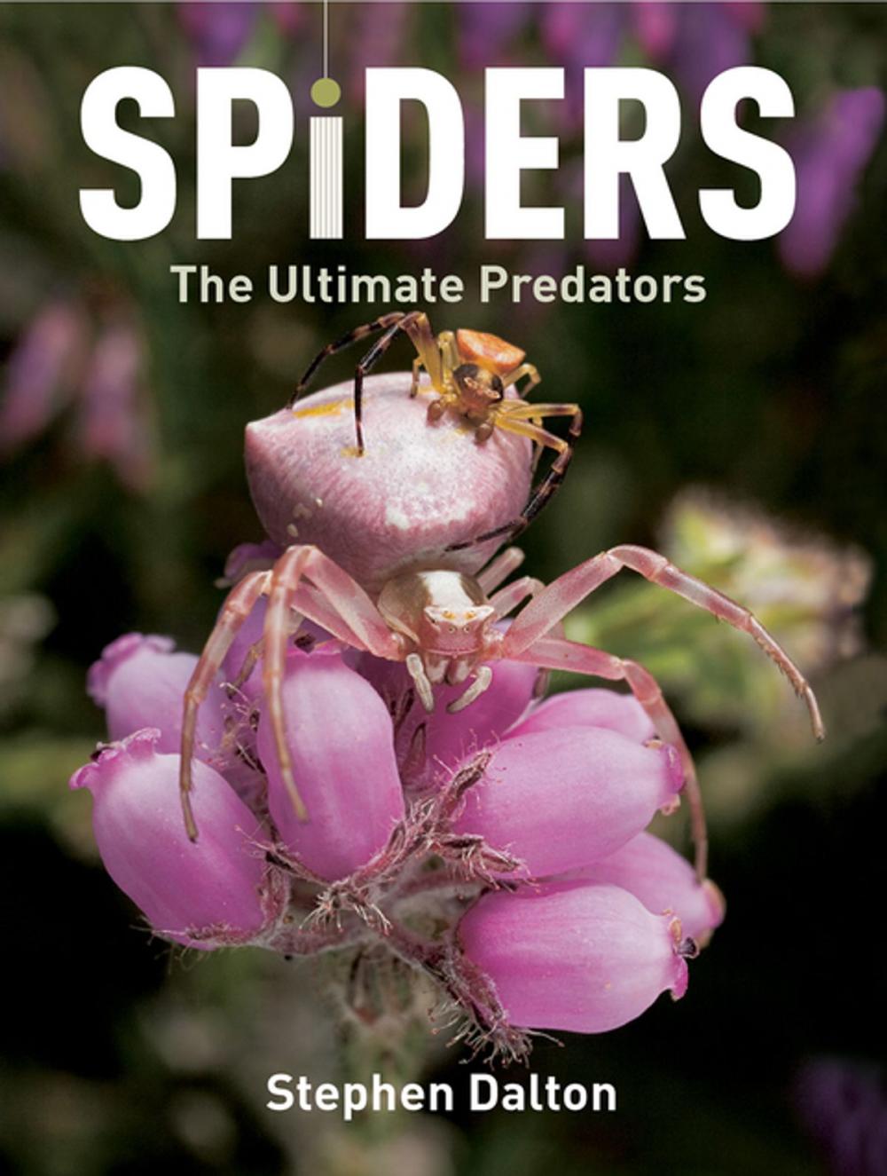 Big bigCover of Spiders