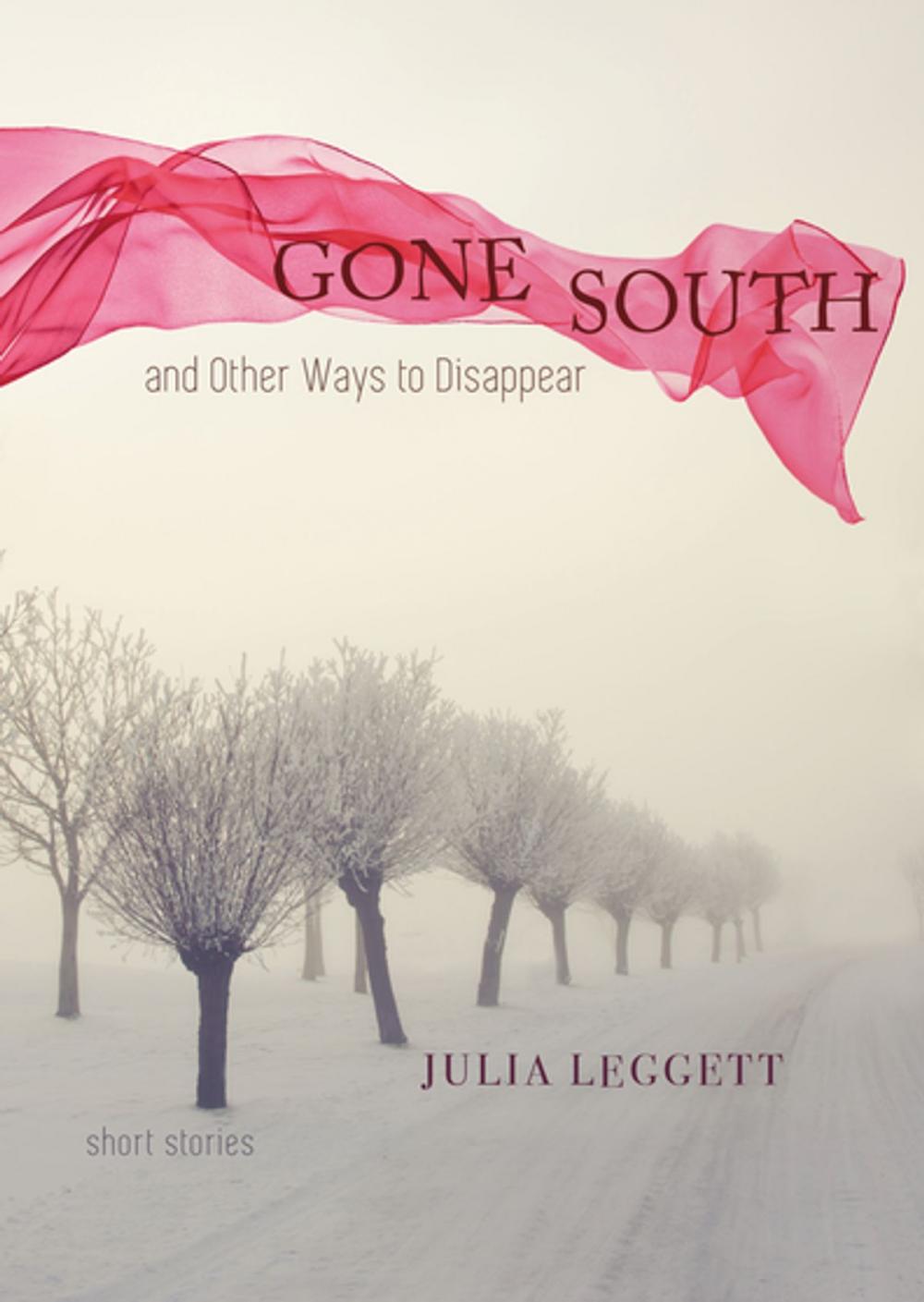 Big bigCover of Gone South and Other Ways to Disappear
