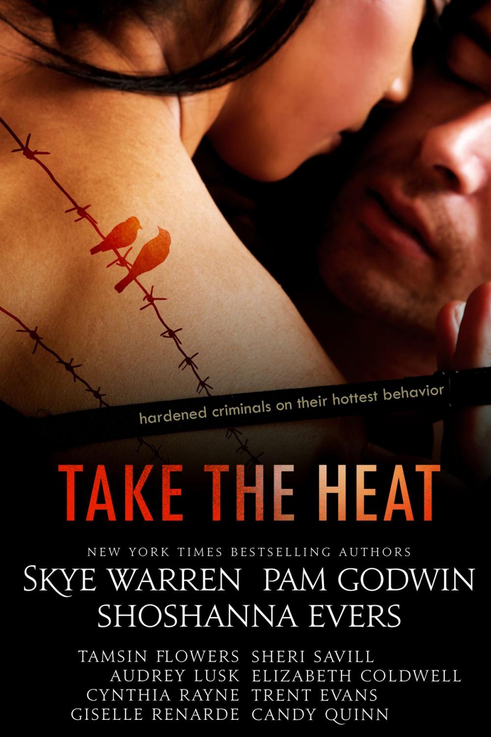 Big bigCover of Take the Heat: A Criminal Romance Anthology