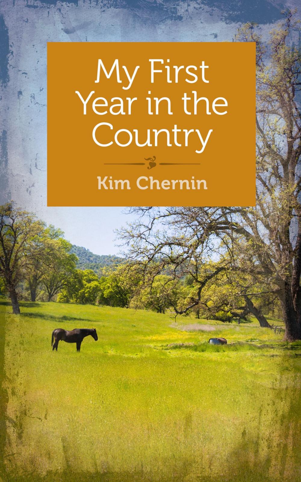 Big bigCover of My First Year in the Country