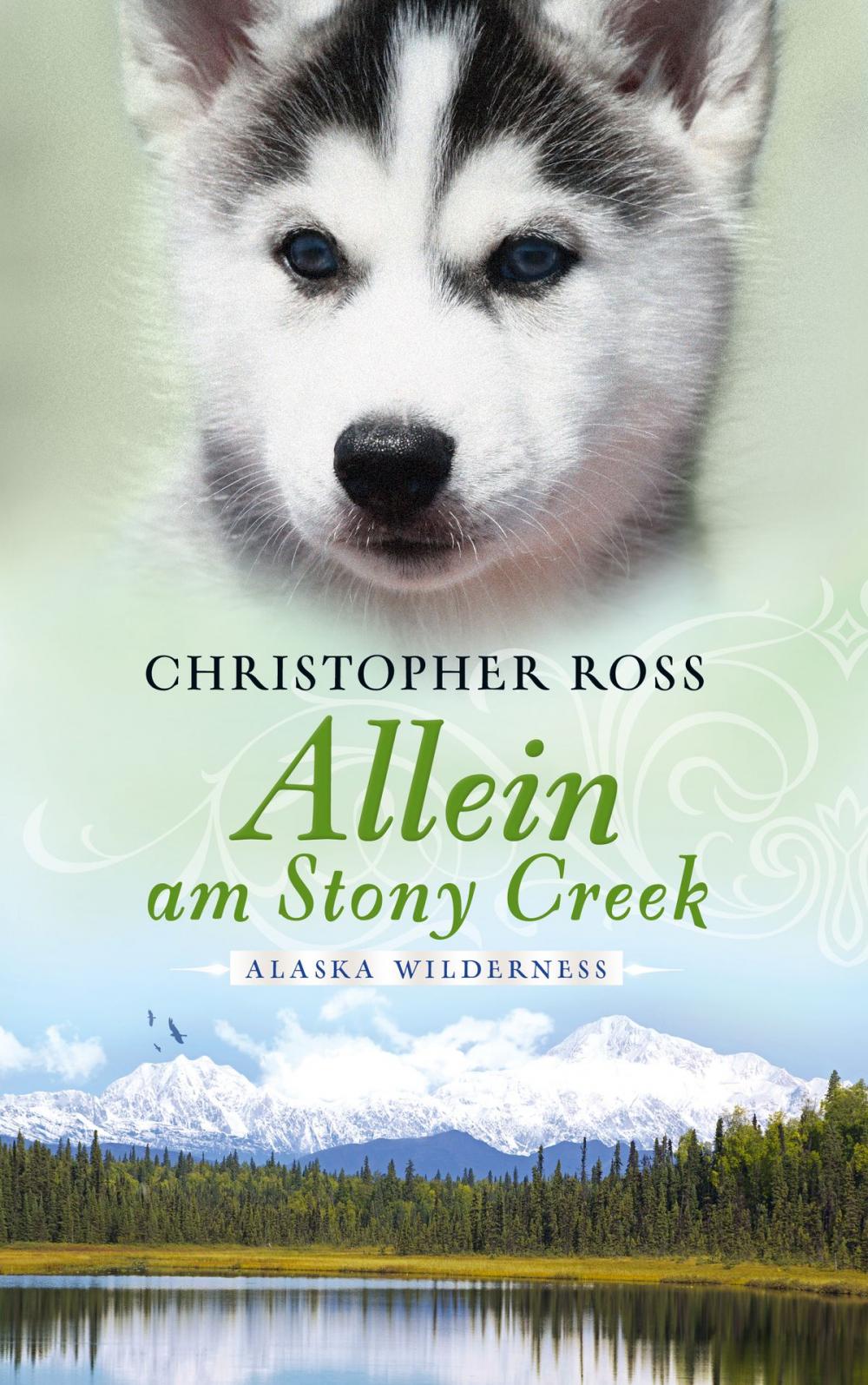 Big bigCover of Alaska Wilderness - Allein am Stony Creek (Bd. 3)