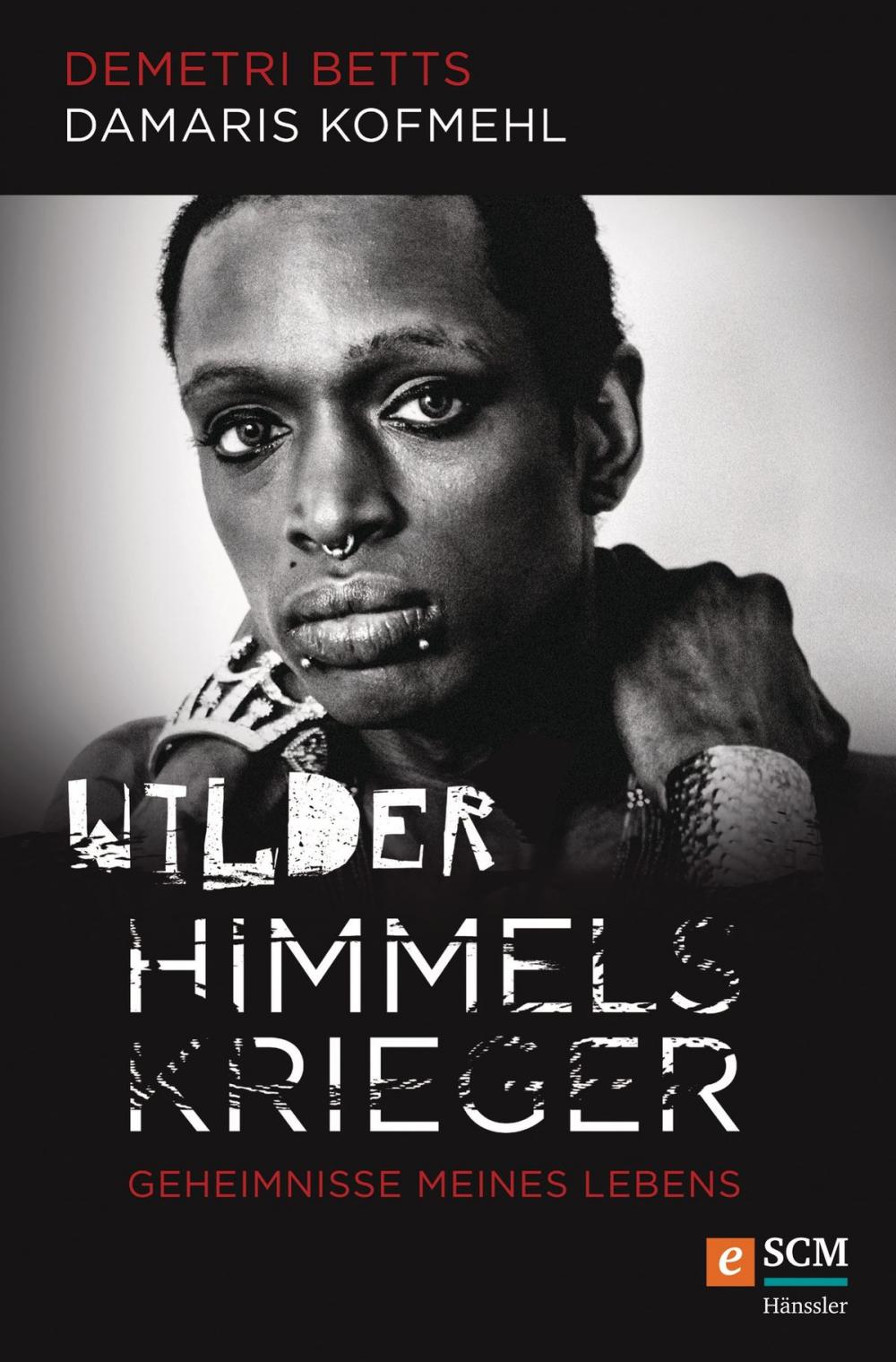 Big bigCover of Wilder Himmelskrieger