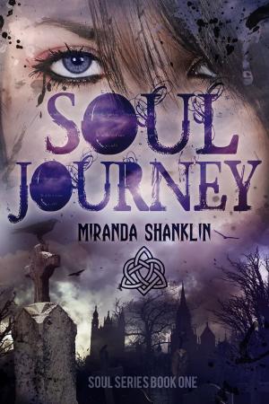 bigCover of the book Soul Journey by 