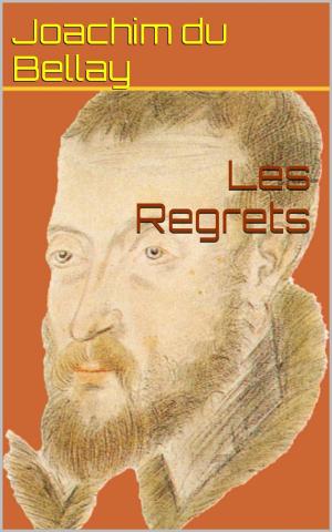 Book cover of Les Regrets