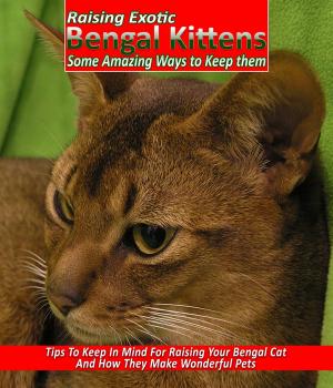 Cover of the book Raising Exotic Bengal Kittens by Anonymous