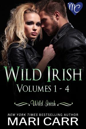 Cover of the book Wild Irish Boxed Set by Delaney Silver