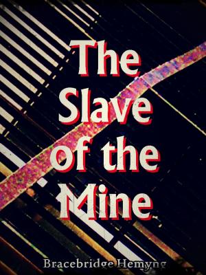 Cover of The Slave of the Mine