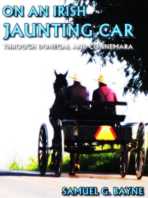 Cover of the book On an Irish Jaunting Car by LA Reid