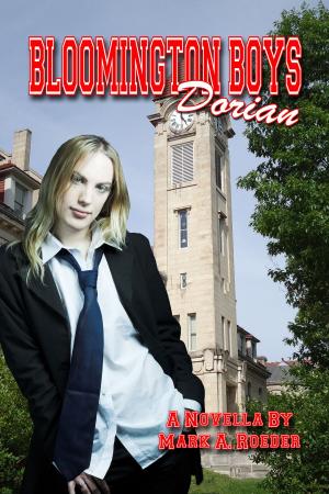 Book cover of Bloomington Boys: Dorian