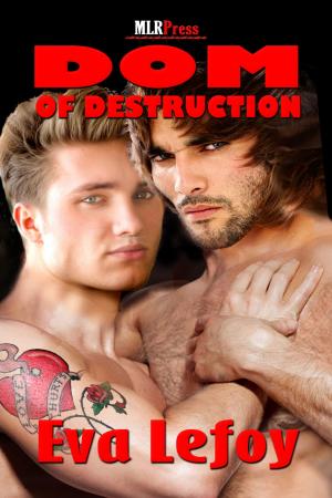 Cover of the book Dom of Destruction by Kaje Harper
