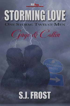 Cover of the book Gage & Collin by S.J. Frost