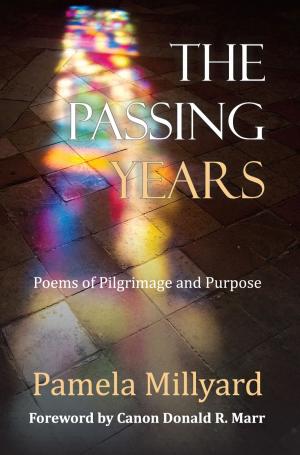 bigCover of the book The Passing Years by 