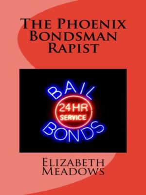Cover of the book The Phoenix Bondsman Rapist by Vince Stead