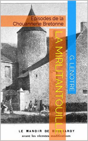 Book cover of La Mirlitantouille