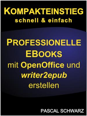 Cover of the book Kompakteinstieg: Professionelle EBooks erstellen mit OpenOffice und writer2epub by Michael DeNeut