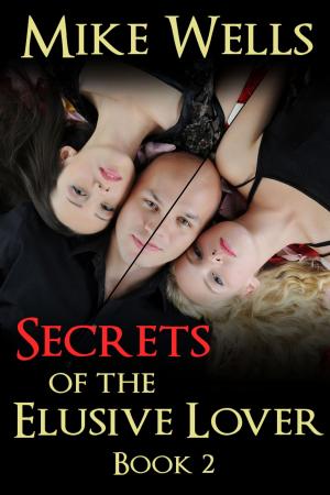 Book cover of Secrets of the Elusive Lover, Book 2